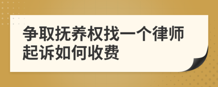 争取抚养权找一个律师起诉如何收费