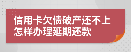 信用卡欠债破产还不上怎样办理延期还款