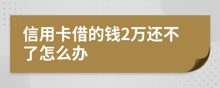 信用卡借的钱2万还不了怎么办
