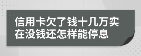 信用卡欠了钱十几万实在没钱还怎样能停息