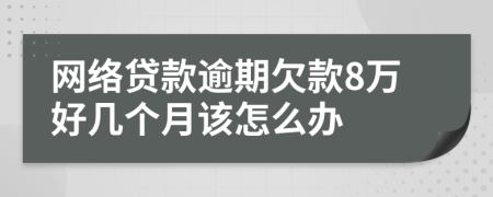 网络贷款逾期欠款8万好几个月该怎么办