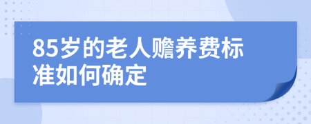 85岁的老人赡养费标准如何确定