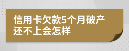 信用卡欠款5个月破产还不上会怎样