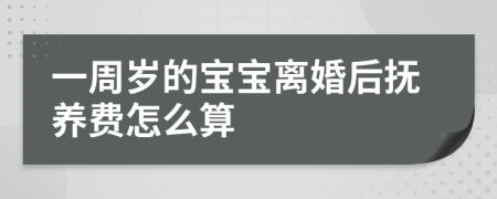 一周岁的宝宝离婚后抚养费怎么算