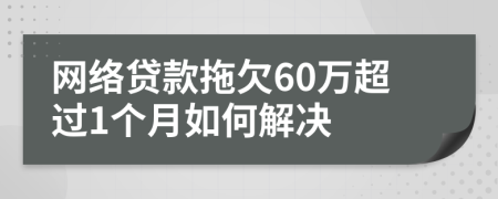 网络贷款拖欠60万超过1个月如何解决