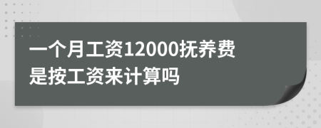 一个月工资12000抚养费是按工资来计算吗