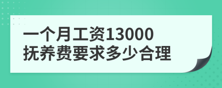 一个月工资13000抚养费要求多少合理