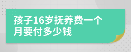 孩子16岁抚养费一个月要付多少钱