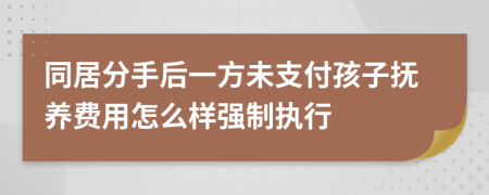 同居分手后一方未支付孩子抚养费用怎么样强制执行