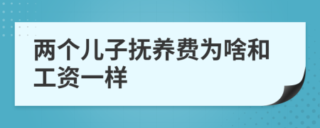 两个儿子抚养费为啥和工资一样