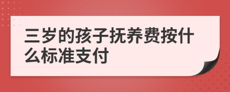 三岁的孩子抚养费按什么标准支付