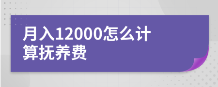 月入12000怎么计算抚养费