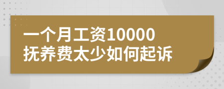 一个月工资10000抚养费太少如何起诉