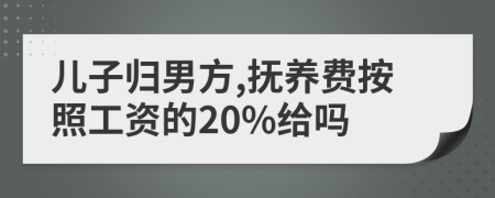 儿子归男方,抚养费按照工资的20%给吗