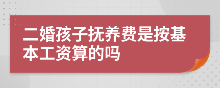 二婚孩子抚养费是按基本工资算的吗