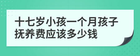 十七岁小孩一个月孩子抚养费应该多少钱