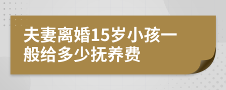 夫妻离婚15岁小孩一般给多少抚养费
