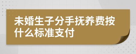 未婚生子分手抚养费按什么标准支付