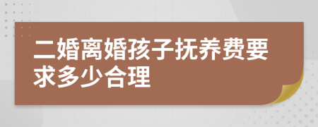 二婚离婚孩子抚养费要求多少合理