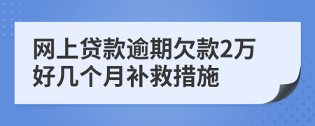 网上贷款逾期欠款2万好几个月补救措施