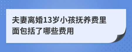 夫妻离婚13岁小孩抚养费里面包括了哪些费用