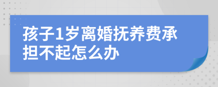 孩子1岁离婚抚养费承担不起怎么办