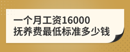 一个月工资16000抚养费最低标准多少钱