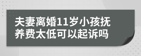 夫妻离婚11岁小孩抚养费太低可以起诉吗