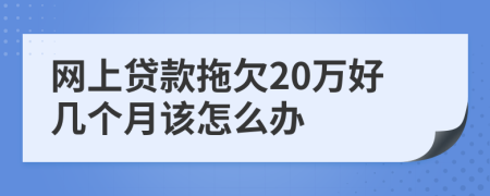 网上贷款拖欠20万好几个月该怎么办