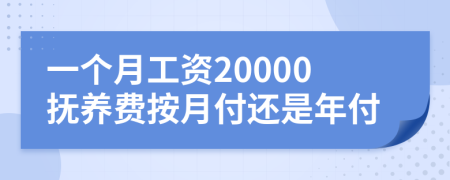 一个月工资20000抚养费按月付还是年付