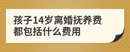 孩子14岁离婚抚养费都包括什么费用