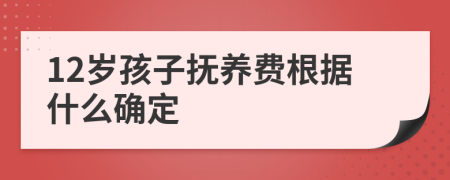 12岁孩子抚养费根据什么确定