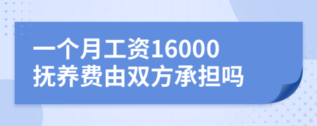 一个月工资16000抚养费由双方承担吗