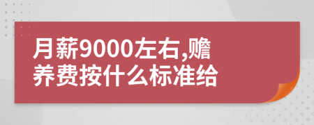 月薪9000左右,赡养费按什么标准给