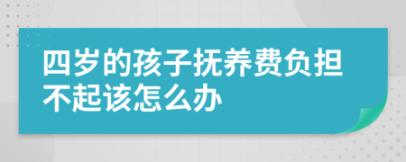 四岁的孩子抚养费负担不起该怎么办