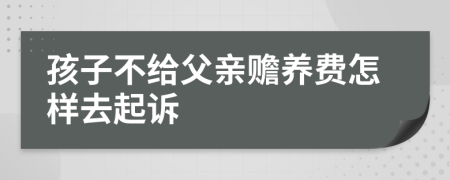 孩子不给父亲赡养费怎样去起诉