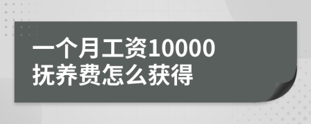 一个月工资10000抚养费怎么获得