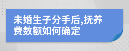 未婚生子分手后,抚养费数额如何确定