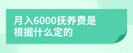 月入6000抚养费是根据什么定的