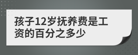 孩子12岁抚养费是工资的百分之多少