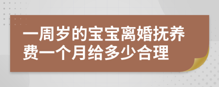 一周岁的宝宝离婚抚养费一个月给多少合理