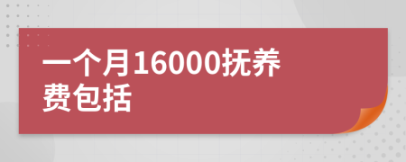 一个月16000抚养费包括