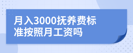 月入3000抚养费标准按照月工资吗