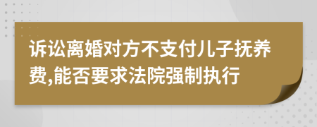 诉讼离婚对方不支付儿子抚养费,能否要求法院强制执行