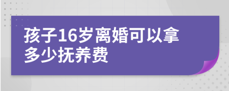 孩子16岁离婚可以拿多少抚养费