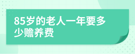 85岁的老人一年要多少赡养费