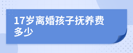 17岁离婚孩子抚养费多少