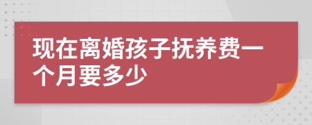 现在离婚孩子抚养费一个月要多少