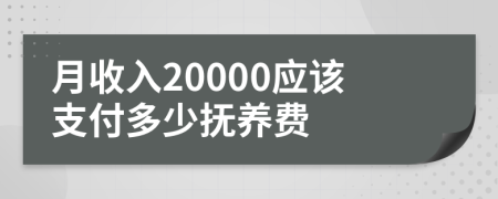 月收入20000应该支付多少抚养费