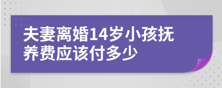 夫妻离婚14岁小孩抚养费应该付多少